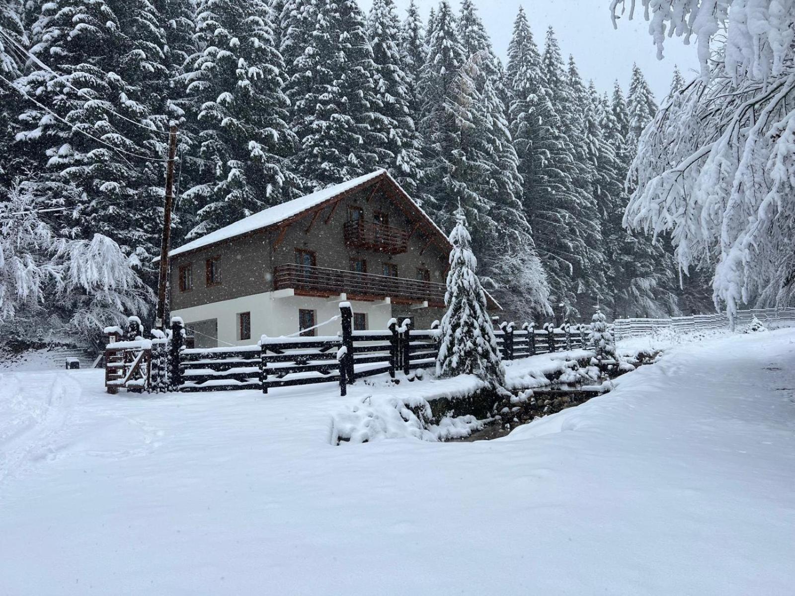 Chiba Chalet Timisu de Jos Eksteriør bilde