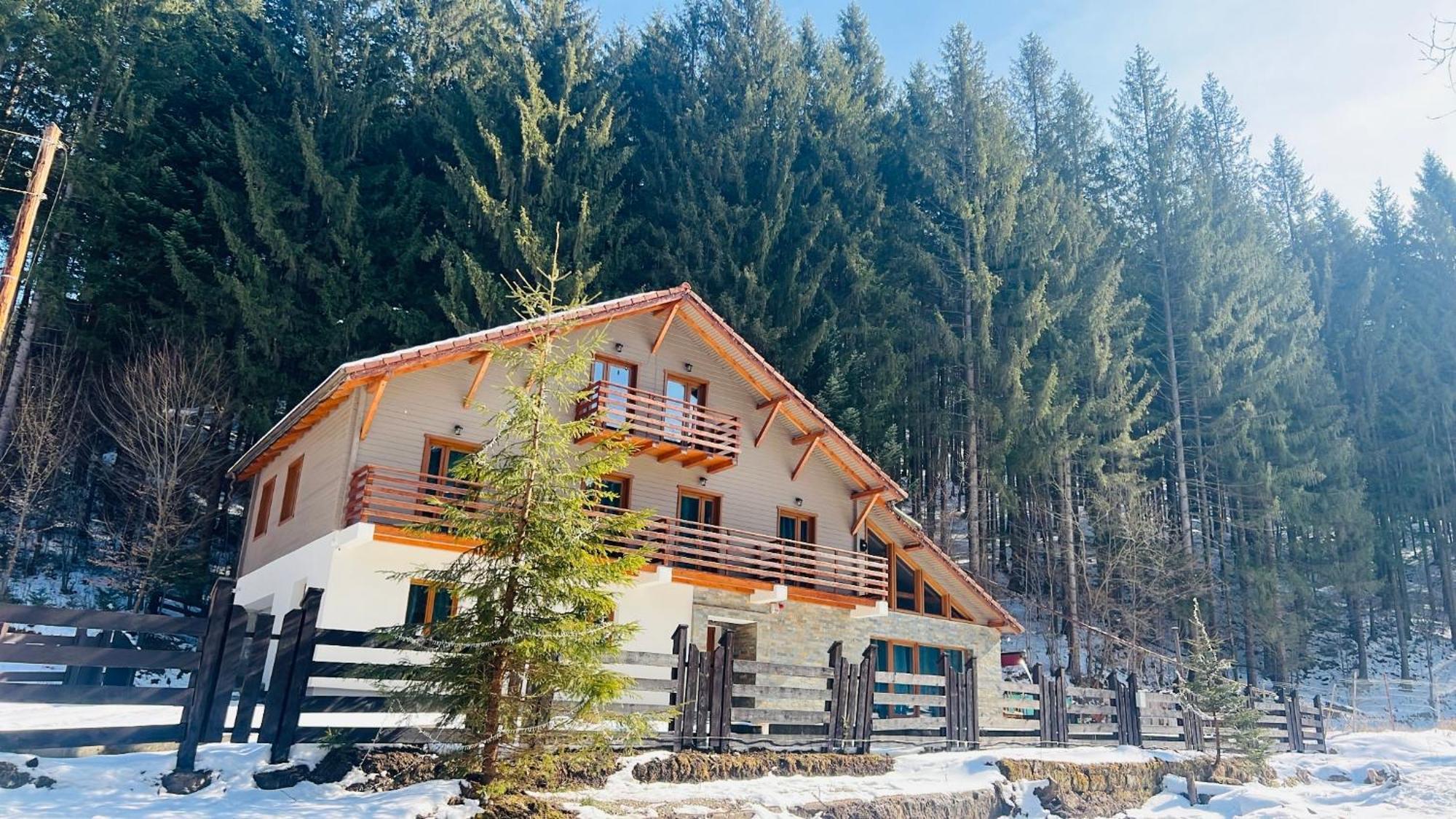 Chiba Chalet Timisu de Jos Eksteriør bilde