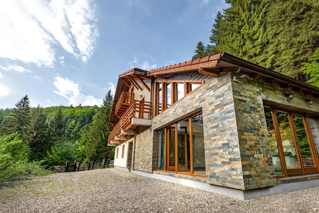 Chiba Chalet Timisu de Jos Eksteriør bilde