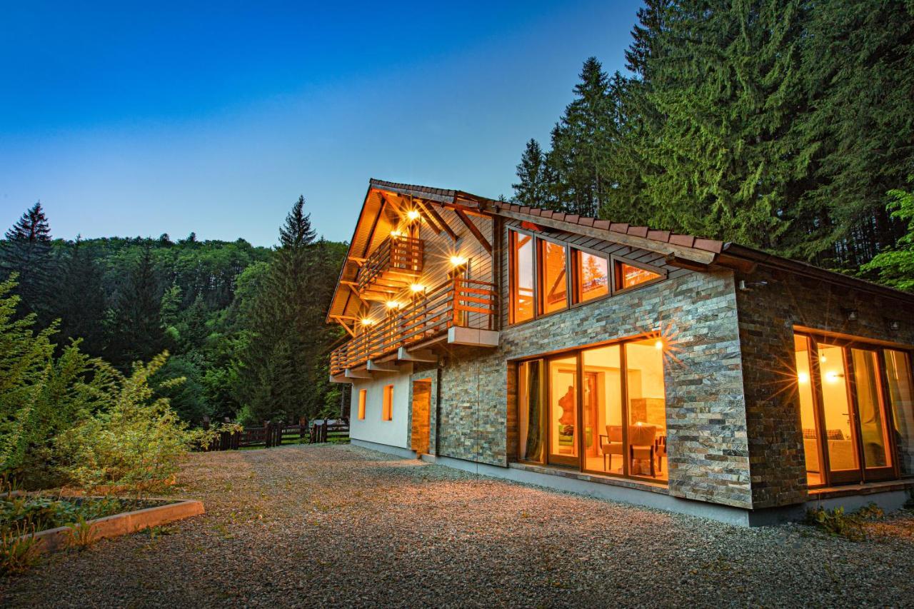 Chiba Chalet Timisu de Jos Eksteriør bilde